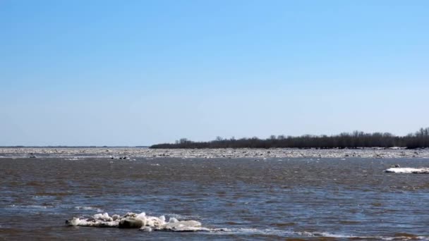Lód pływający wiosną w rzece Ob — Wideo stockowe