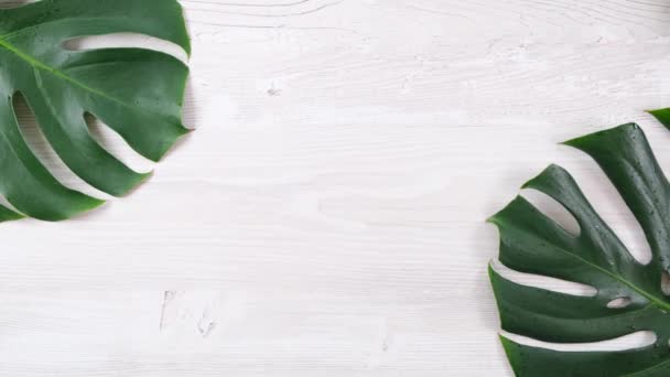 Foglie di monstera verde tropicale estate su sfondo bianco in legno, rallentatore — Video Stock