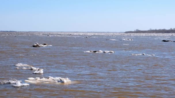 Hielo en el río Ob, Rusia. El paisaje es profundo. — Vídeos de Stock