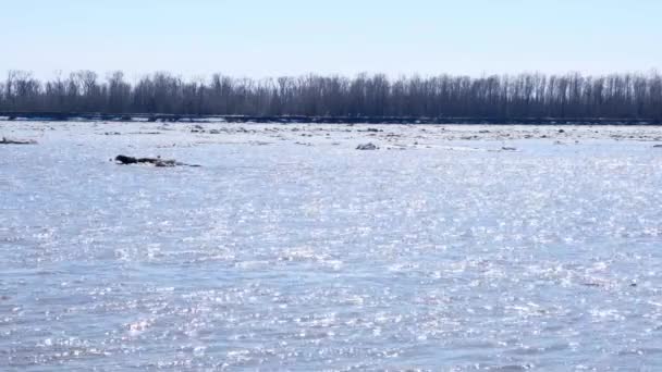 La fonte de la glace flottant sur la rivière Ob — Video