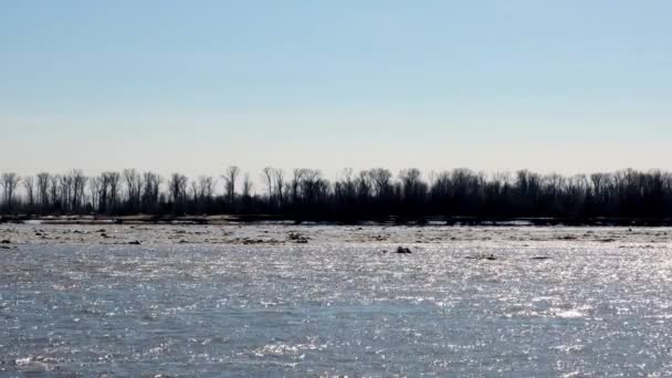 Roztapiający się lód unoszący się na rzece Ob — Wideo stockowe