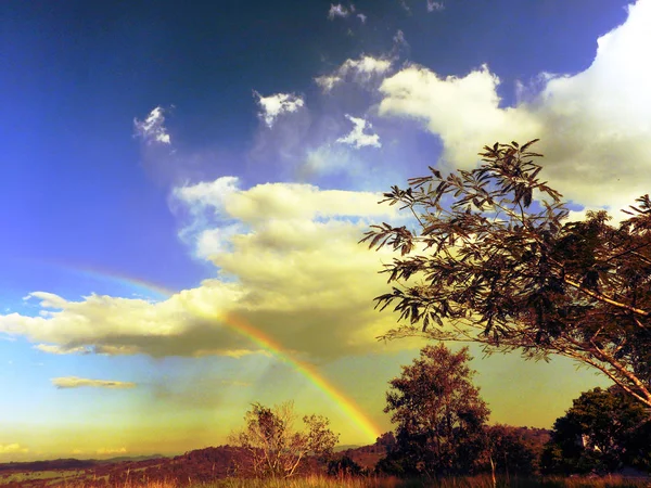 Gökkuşağının üstünde alan bulutlar ve ağaçlarda sonbahar