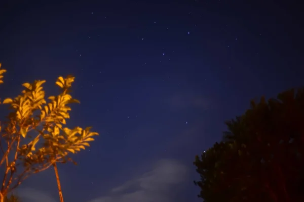 Herbstblätter Gegen Blauen Himmel — Stockfoto