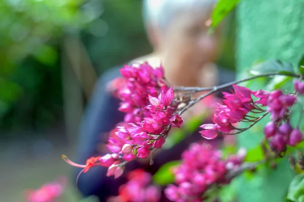 Çiçeklerle ilgilenen kadın