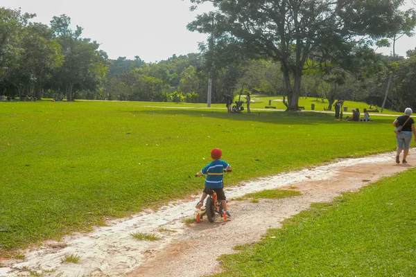 Parkta bisiklet süren küçük bir çocuk.