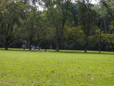 parkta yeşil ağaçlar ve mavi gökyüzü