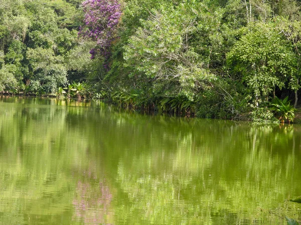 parkta yeşil ağaçlar ve mavi gökyüzü