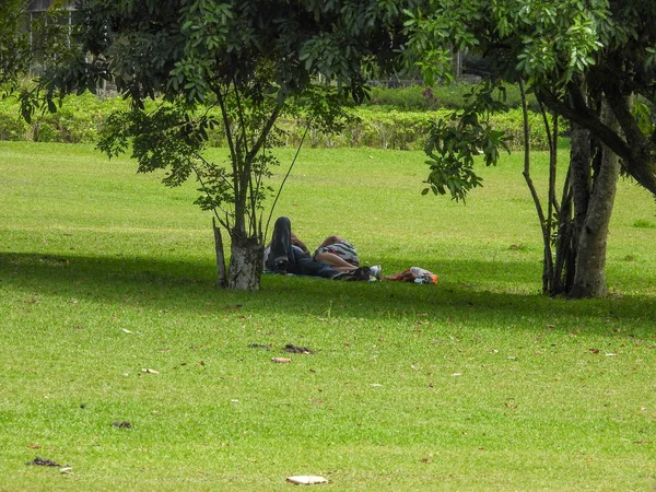 parkın çimenlerinde yatan insanlar