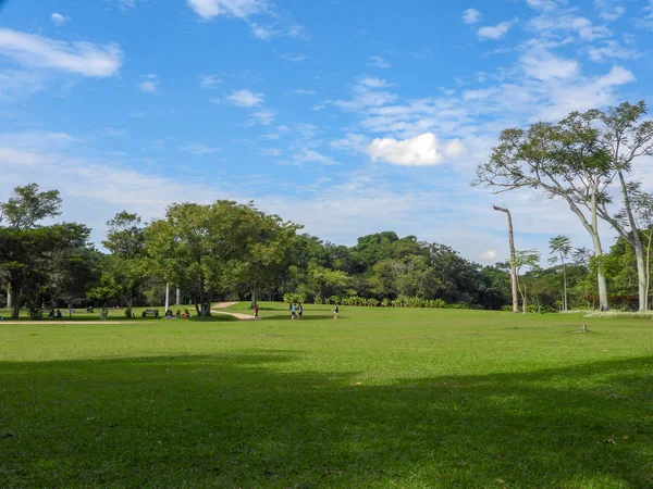Árboles Verdes Cielo Azul Parque — Foto de Stock