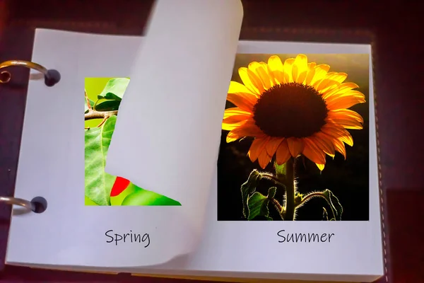 yaz sembolü ayçiçeği ile soyut arka plan