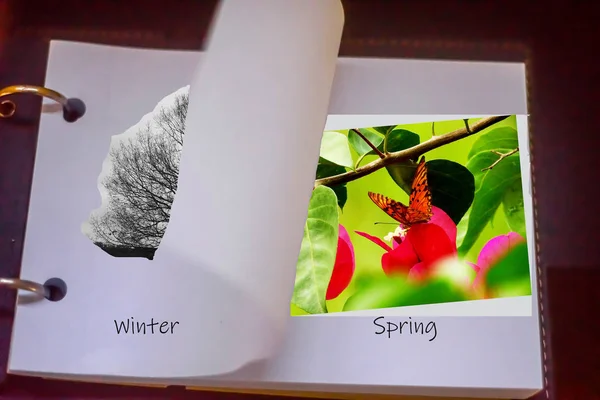 baharı simgeleyen fotoğraf kolajlı not defteri