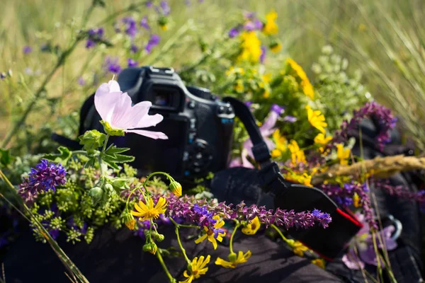 Camera Rugzak Achtergrond Van Een Veld Groene Zomer — Stockfoto