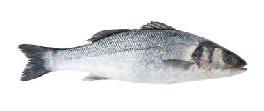 Beyaz arkaplanda çiğ deniz levreği balığı var.