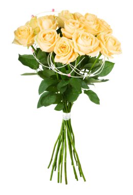 Beyaz arkaplanda izole edilmiş sarı güller.