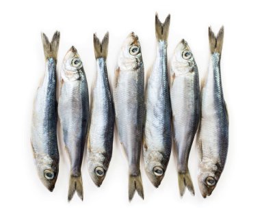 Küçük balıklar beyaz arka plan üzerinde izole closeup görünümü