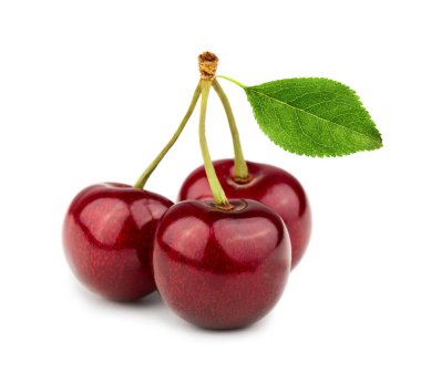 Beyaz arka planda izole edilmiş vişne yapraklı üç mükemmel kiraz.