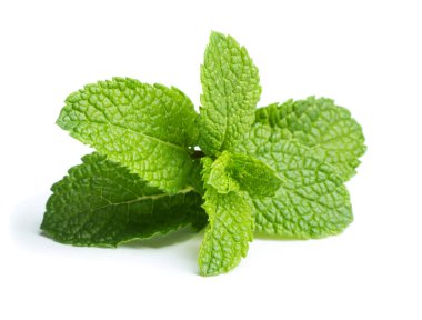 yeşil nane yaprakları beyaz arkaplanda izole