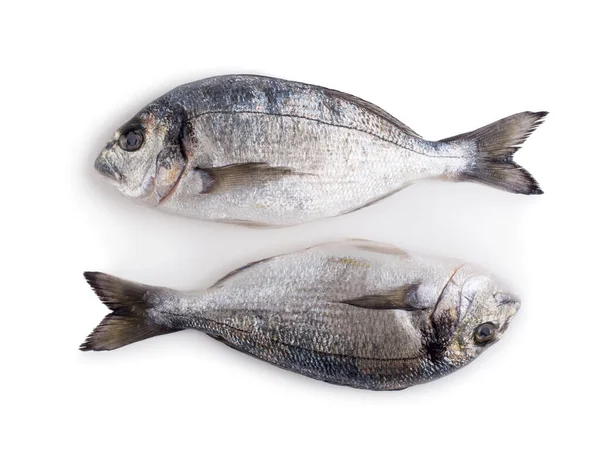 Две Свежие Рыбки Дорадо Белом Фоне — стоковое фото