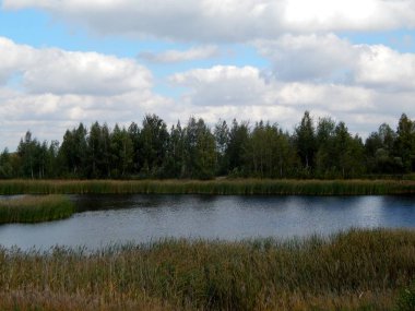 mavi gökyüzü göl kıyısında su hangi yemyeşil bitki örtüsünün büyür yansıtılır: kamışlar, otlar, ağaçlar, çalılar. Rüzgar dalgaların havzanın yüzeyinde sürücüler. Havuzun derin ve büyük. Ruh manzara mutlu.