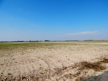 Ekilen buğday alanının üstünde mavi bir gökyüzü var. Ekilebilir arazinin görünür yeşil sürgünler tarımsal ürün üzerinde. çiftçiler gelecek yıl insanlar ve hayvanlar için yem un yapmak için gidecek bir ürün hasat.