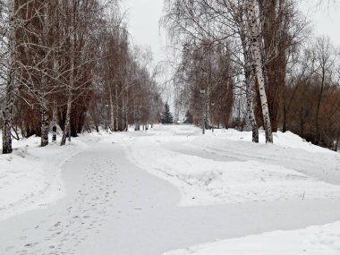 Parkta kar kaplı yolu