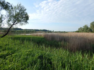 Göl yemyeşil bitki örtüsü arasında gizlidir. Rezervuar ın kıyıları sazlıklar, çimenler, ağaçlar, çalılarla büyümüş..