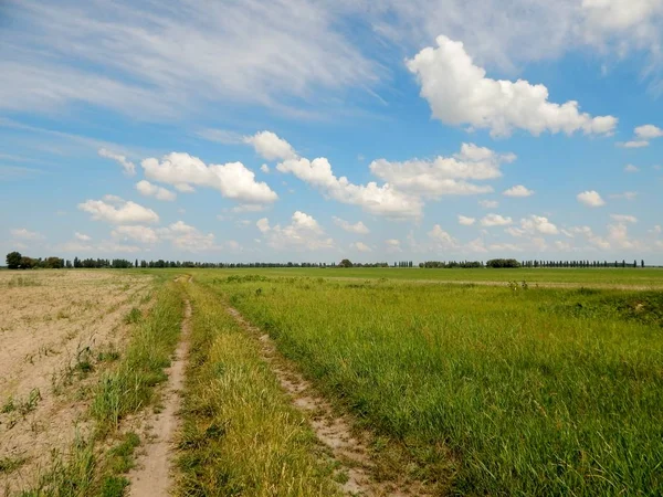 Glatte Straße Entlang Des Feldes Gepflastert — Stockfoto