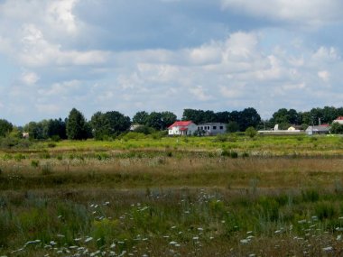 Sadece evin çatısı uzun otlarda görülebilir..