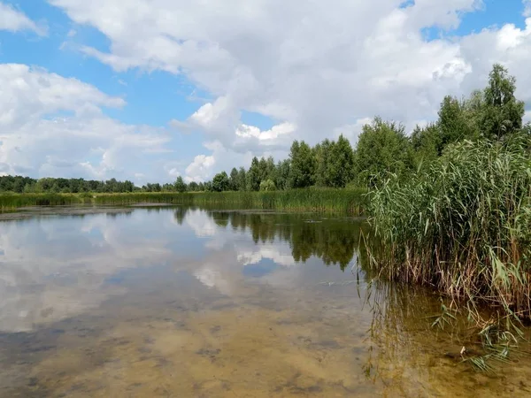 Nubes Árboles Reflejan Lago —  Fotos de Stock