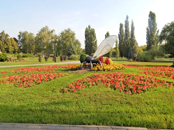 Eine Biene Sammelt Nektar Skulptur Damm Des Flusses Tschna Tambow — Stockfoto