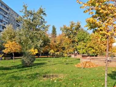 Kiev 'de sessiz bir avlu.