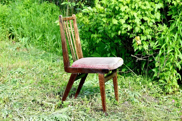 Jardim Grama Verde Coberto Fica Uma Cadeira Velha — Fotografia de Stock