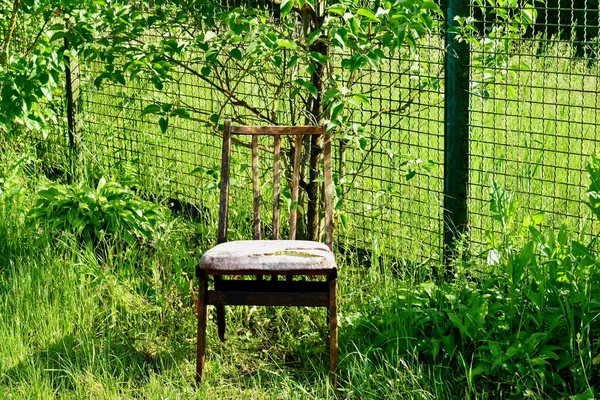 Fazla Büyümüş Yeşil Çimen Bahçesinde Eski Bir Sandalye Duruyor — Stok fotoğraf