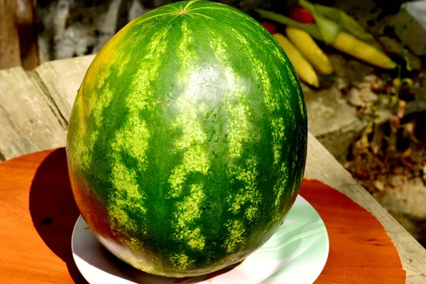 Ripe Watermelon Green Striped Skin — Stock Photo, Image