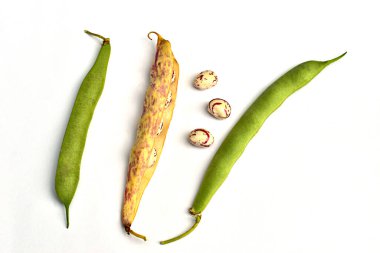 Çeşitli renk ve tahıllardan oluşan çeşitli olgun fasulye kabukları beyaz bir yüzey üzerinde yatar. Yüksek kalite fotoğraf