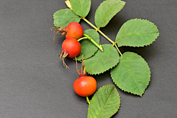 Ripe Red Rose Hips Lie Dark Table High Quality Photo — Stock Photo, Image