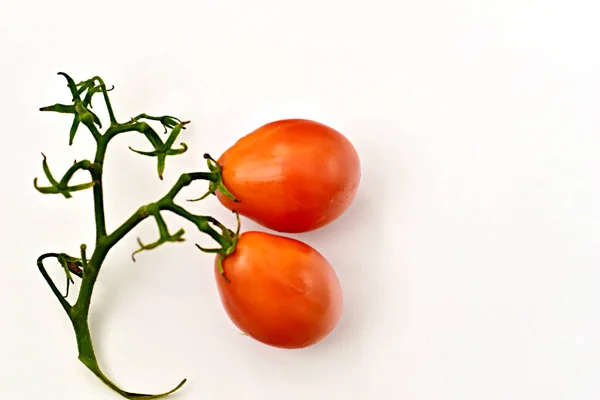Los Regalos Verano Forma Tomates Maduros Ricos Vitaminas Agradables Gusto — Foto de Stock