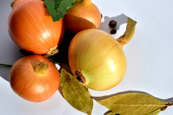 Gruppo Cipolle Dalla Pelle Dorata Giace Tavolo Bianco — Foto Stock