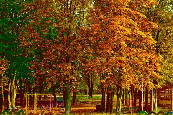 Upadek Suche Liście Spadają Drzew Plac Zabaw Ziemię Pokrywając Żółtym — Zdjęcie stockowe