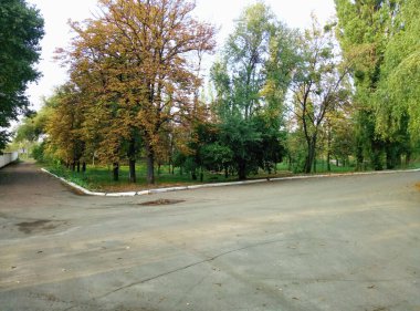 Sonbahar parkının yanından geçen yol..