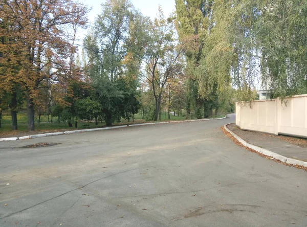 Un virage de la route passant à côté du parc d'automne. — Photo