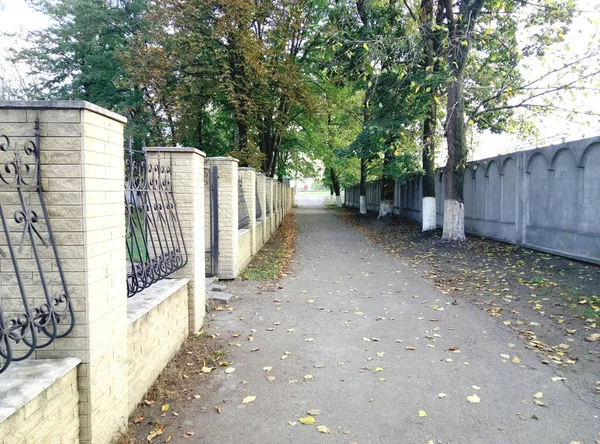 Sur Photo Une Clôture Pierre Treillis Fonte Sentier Piétonnier Proximité — Photo