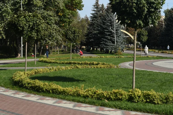 In the city park for the recreation of residents of the city of Brovary, a large number of benches have been installed and flat wide paths have been laid.