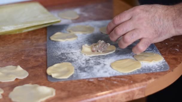 Video Shows Man Making Dumplings His Hands One Time Puts — Stock Video