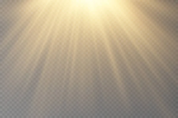 Efecto Luz Destello Lente Especial Luz Solar Transparente Vectorial — Vector de stock