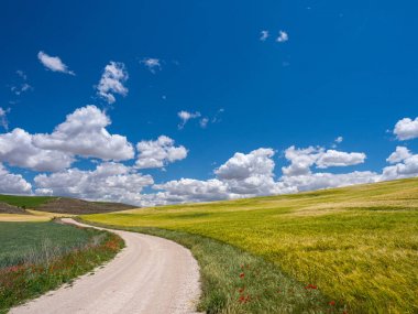 İspanya'da yaz günü, bir yol ile buğday tarlası