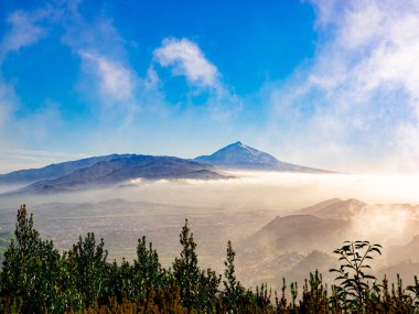 Tenerife adasında arka planda Teide ile La Laguna şehrinin panoramik görünümü