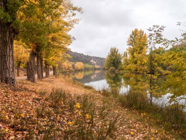 Duero Nehri, sonbaharda San Saturio'nun hermitage ile