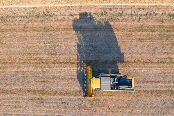 Комбайн, работающий на большом пшеничном поле, виден с воздуха . — стоковое фото
