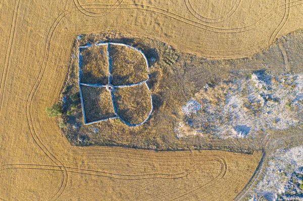 Colheita de campos de trigo em agosto verão — Fotografia de Stock